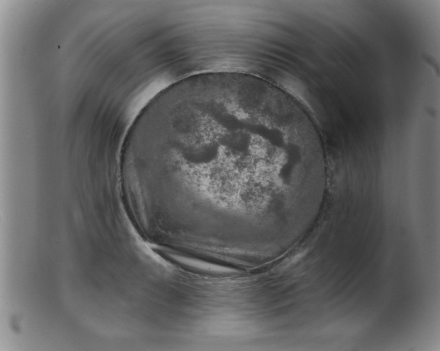 X0000099451087200805161016