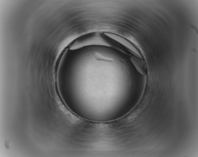 X0000099451088200805161016