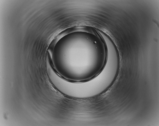 X0000099451089200805161016