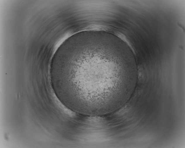 X0000099451091200805161016