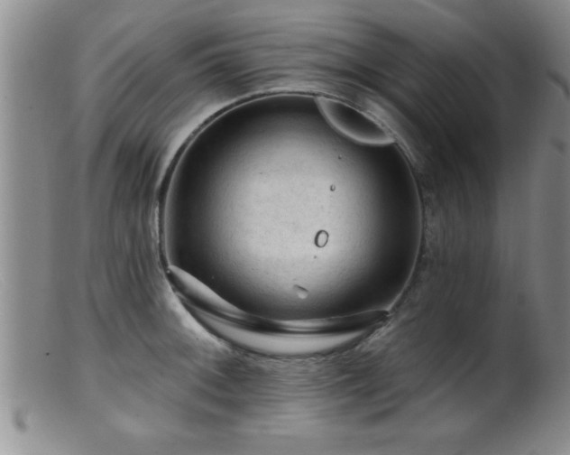 X0000099451092200805161016