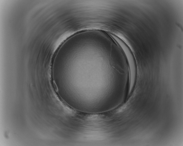 X0000099451093200805161016