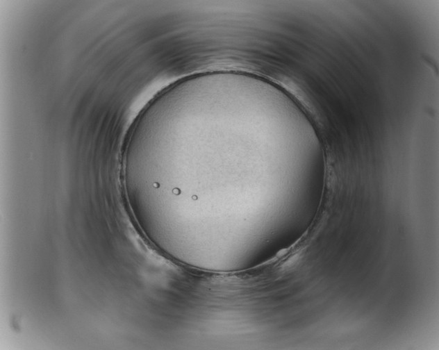 X0000099451094200805161016