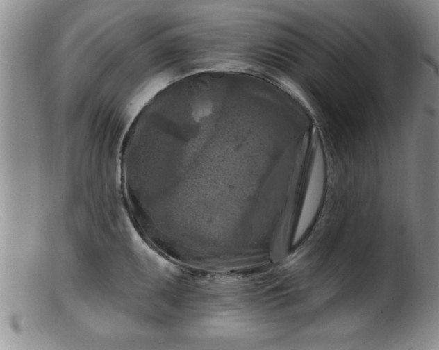 X0000099451095200805161016