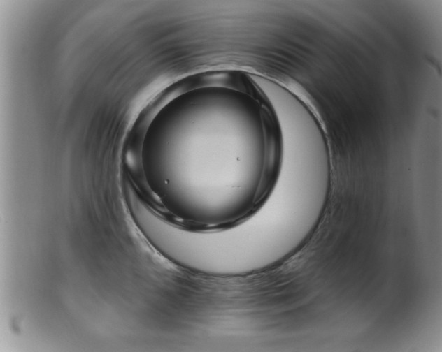 X0000099451096200805161016