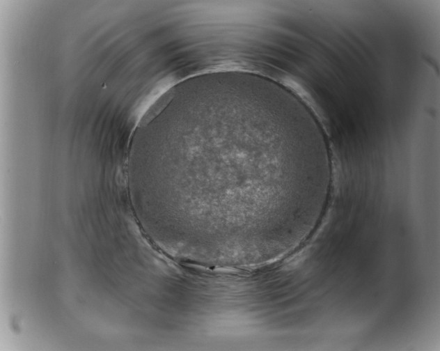 X0000099451097200805161016