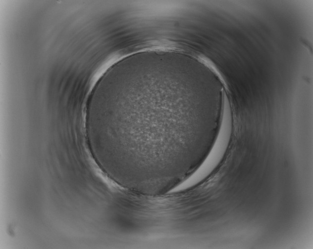 X0000099451099200805161016