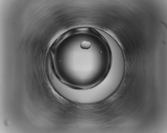 X0000099451101200805161016