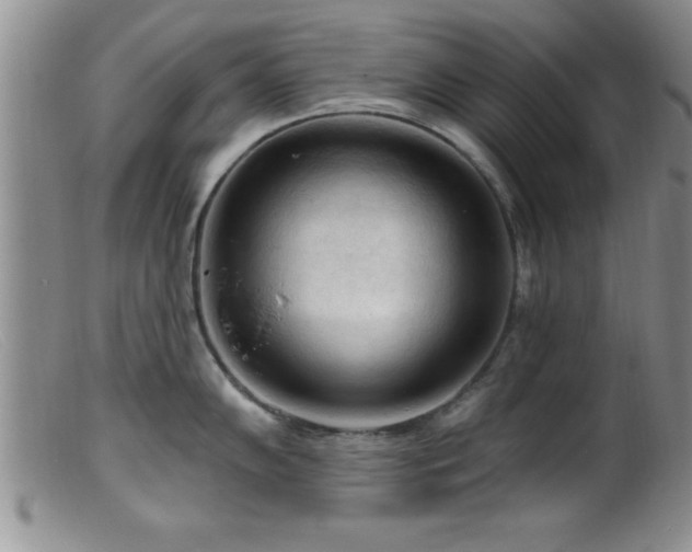 X0000099451102200805161016