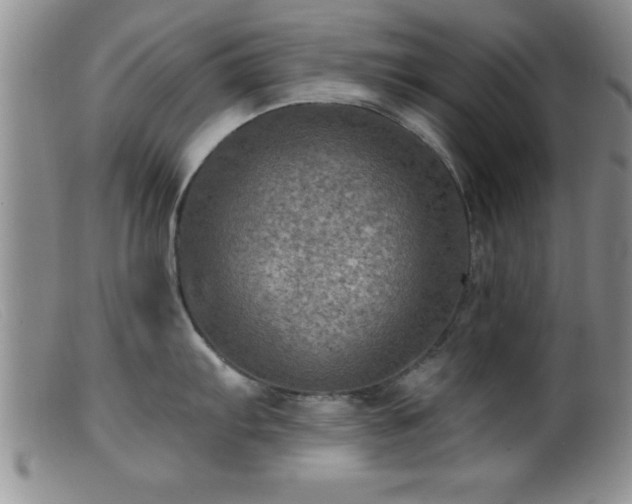 X0000099451103200805161016