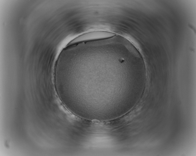 X0000099451104200805161016