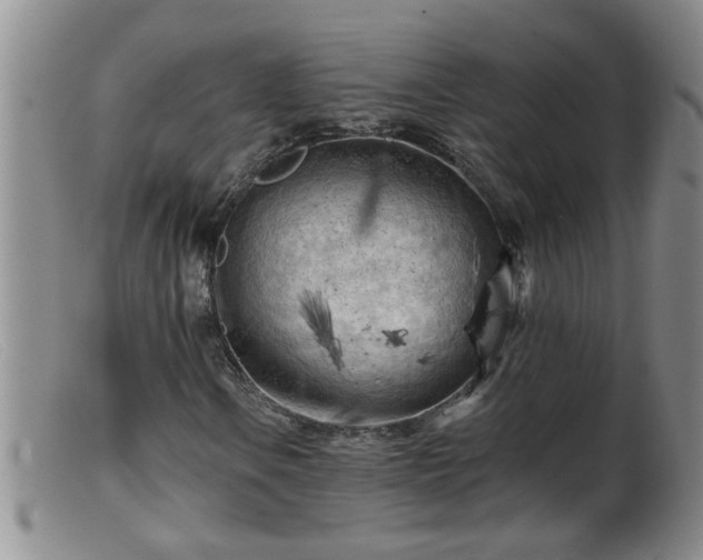X0000099451106200805161015