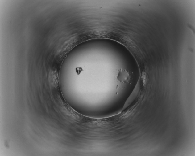 X0000099451107200805161015