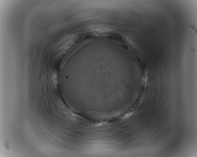 X0000099451108200805161015