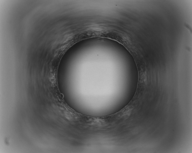 X0000099451109200805161015