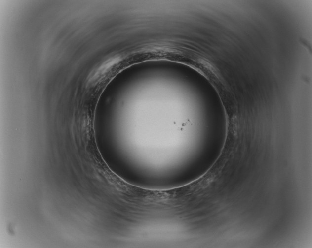 X0000099451111200805161015