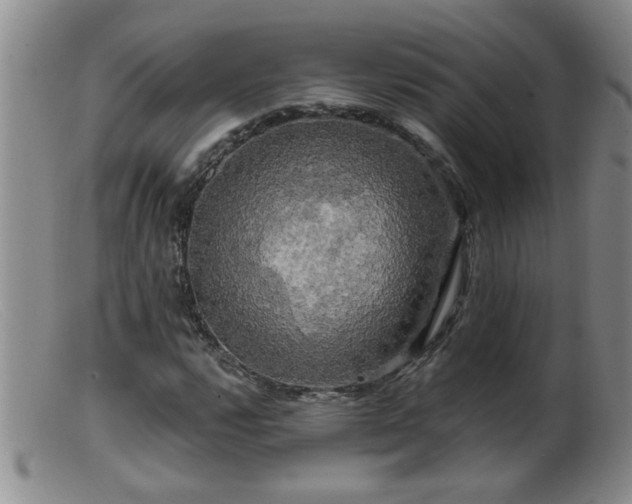 X0000099451112200805161015