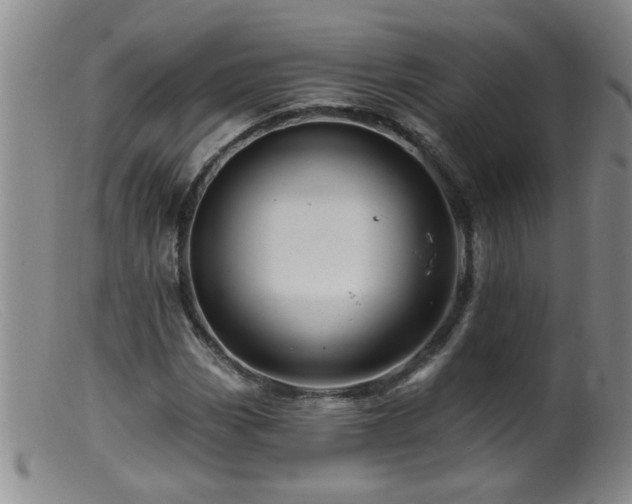 X0000099451113200805161015