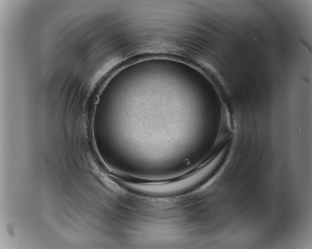 X0000099451114200805161015