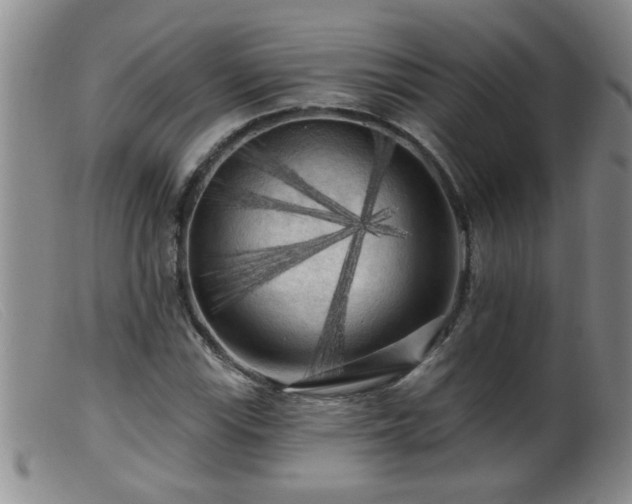 X0000099451115200805161015