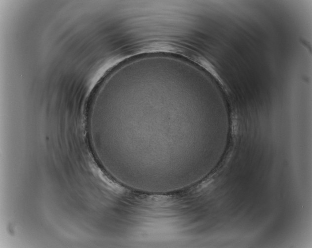 X0000099451116200805161015