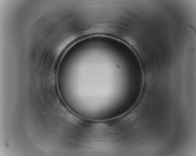 X0000099451119200805161015