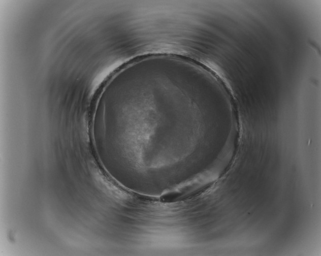 X0000099451120200805161015