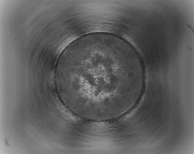 X0000099451121200805161015