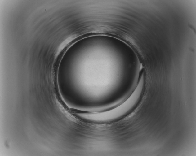 X0000099451122200805161015