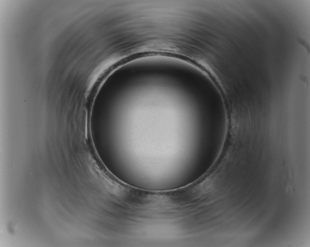 X0000099451123200805161015