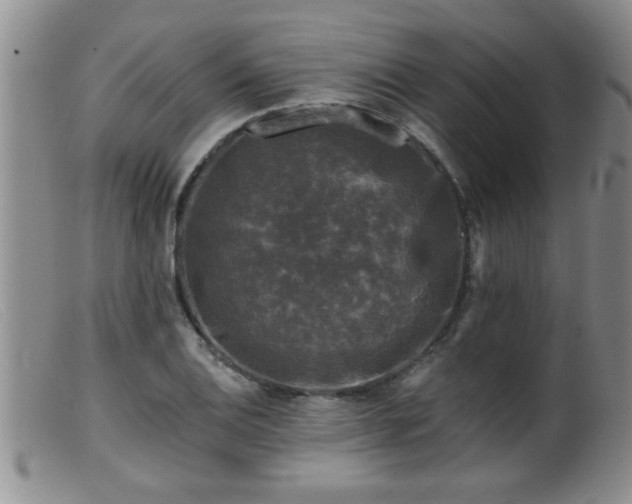 X0000099451124200805161015