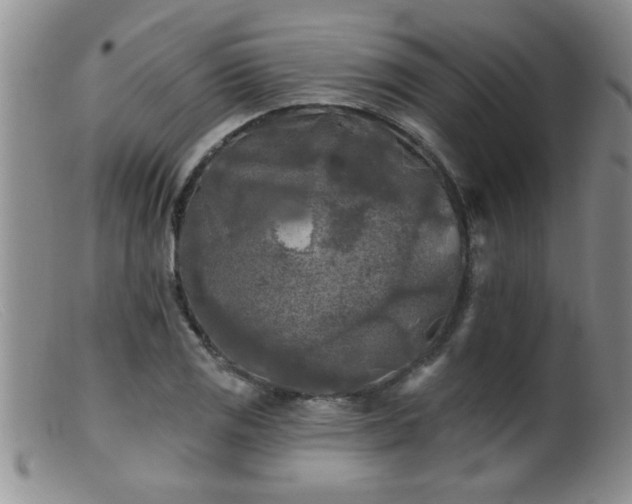 X0000099451125200805161015