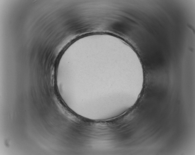 X0000099451126200805161015