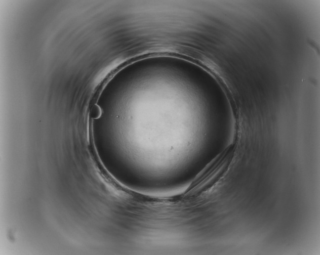 X0000099451127200805161015