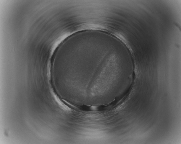 X0000099451128200805161015