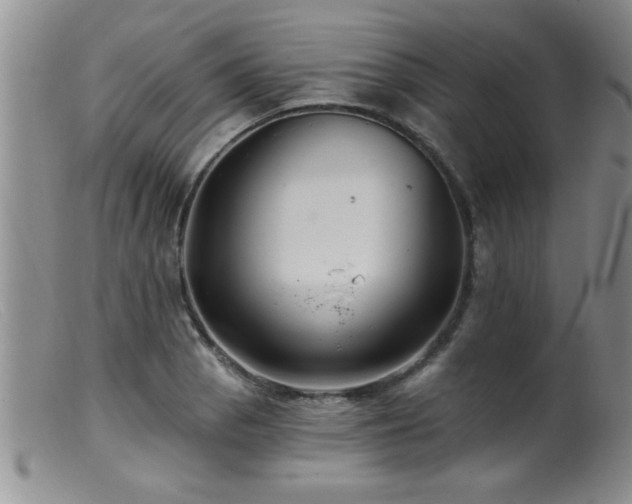 X0000099451129200805161015