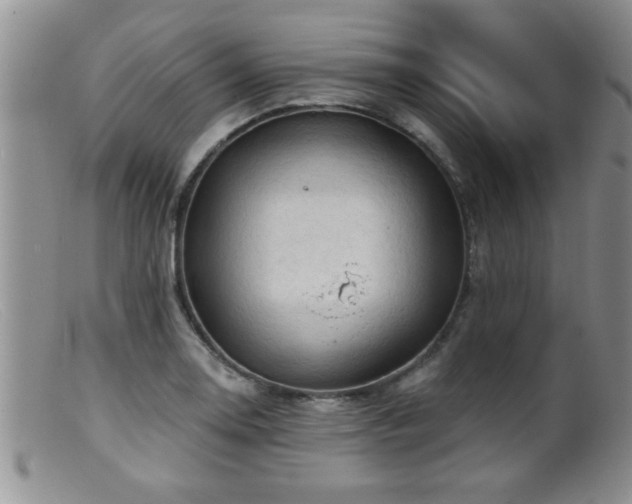 X0000099451130200805161015