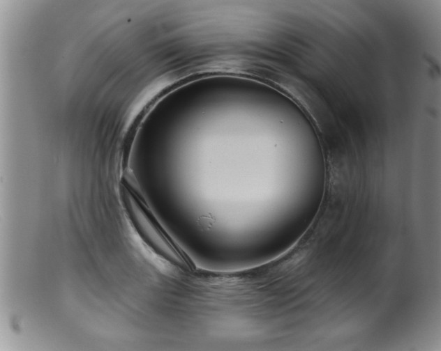 X0000099451131200805161015