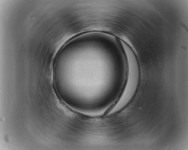 X0000099451132200805161015