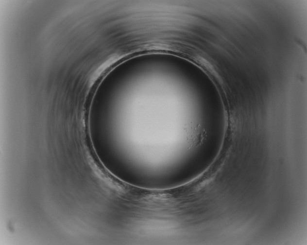 X0000099451133200805161016