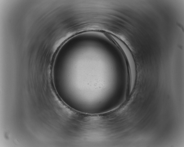 X0000099451134200805161016