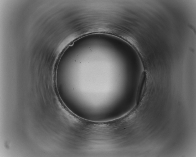 X0000099451135200805161016