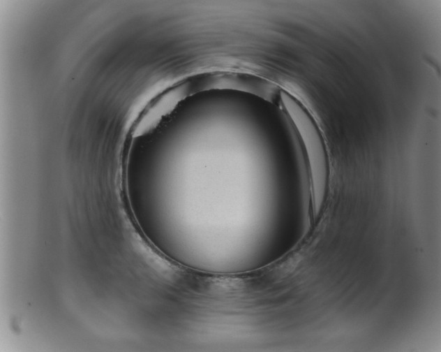 X0000099451136200805161016