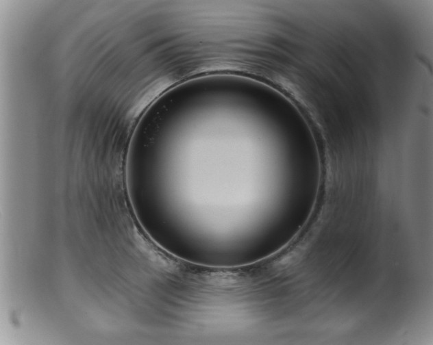 X0000099451137200805161016