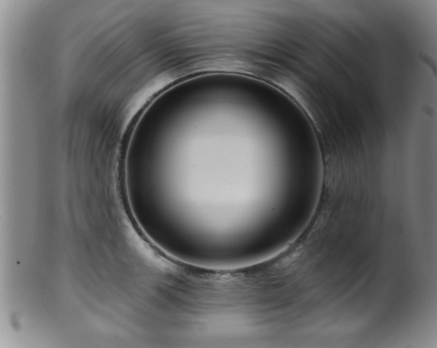 X0000099451139200805161016