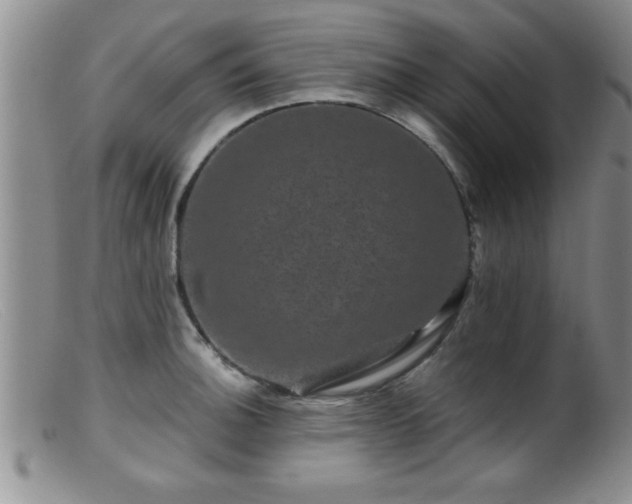 X0000099451140200805161016