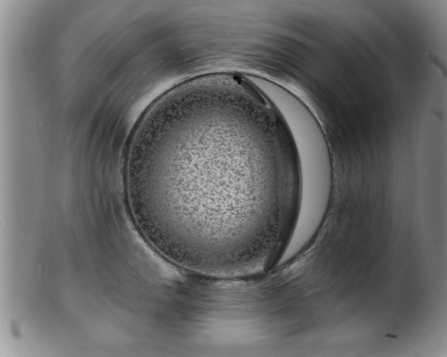 X0000099451142200805161016