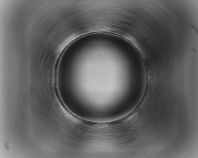 X0000099451143200805161016