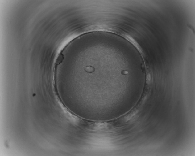 X0000099451144200805161016