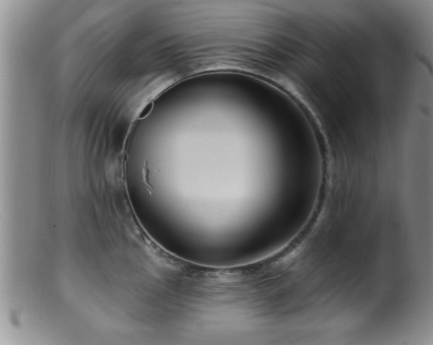 X0000099451145200805161016